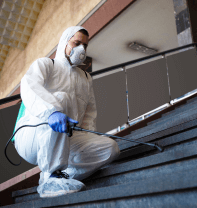 man remove asbestos